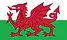 welsh-flag-video.jpg